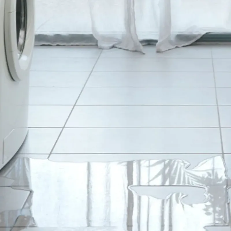 Appliance Leak Cleanup in Dare County, NC