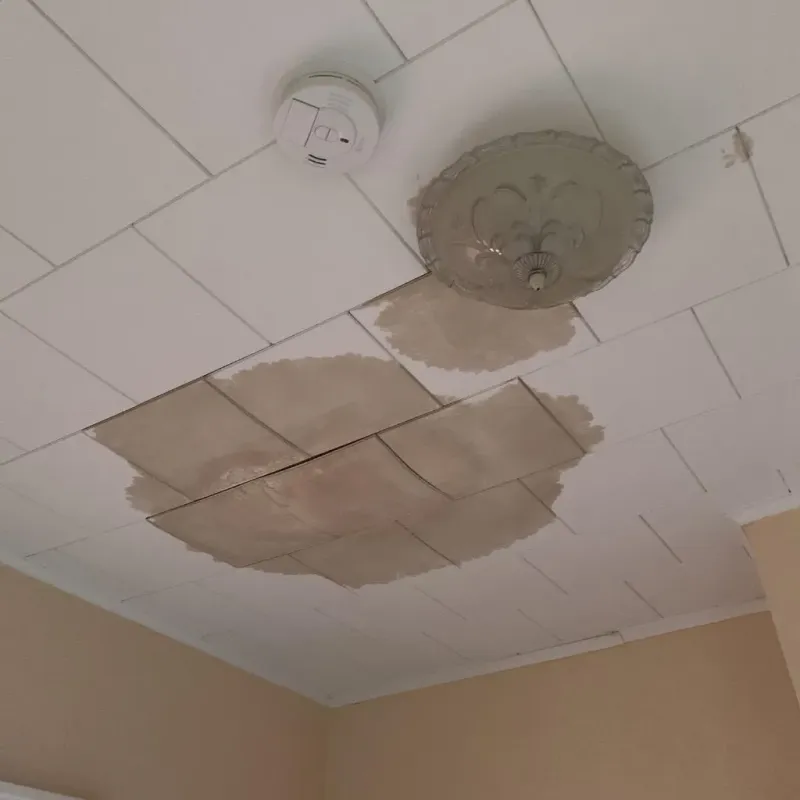 Ceiling Water Damage Repair in Dare County, NC
