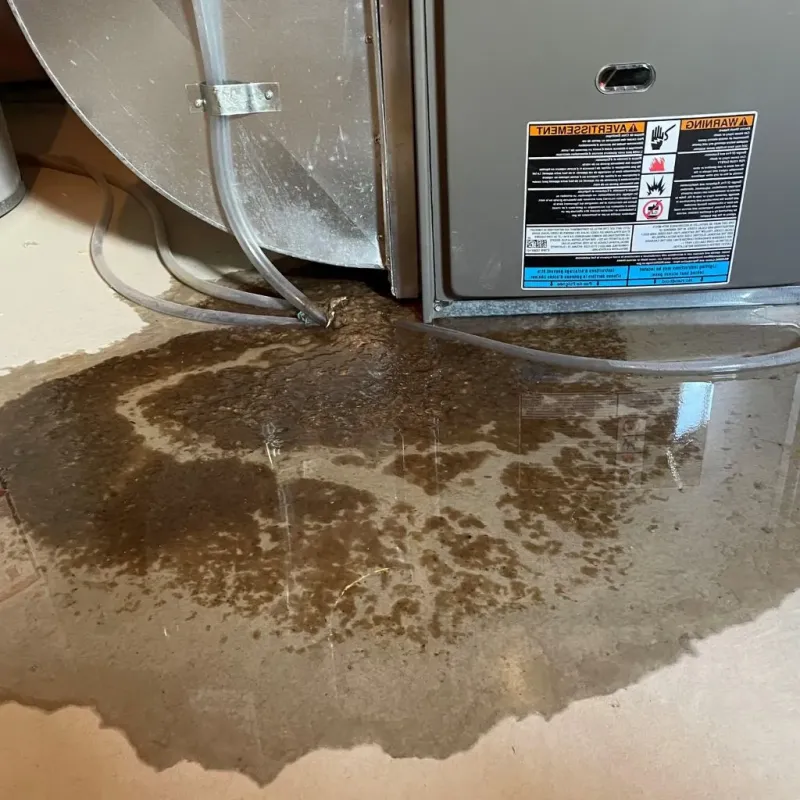 Pipe Burst and Leak Restoration in Dare County, NC